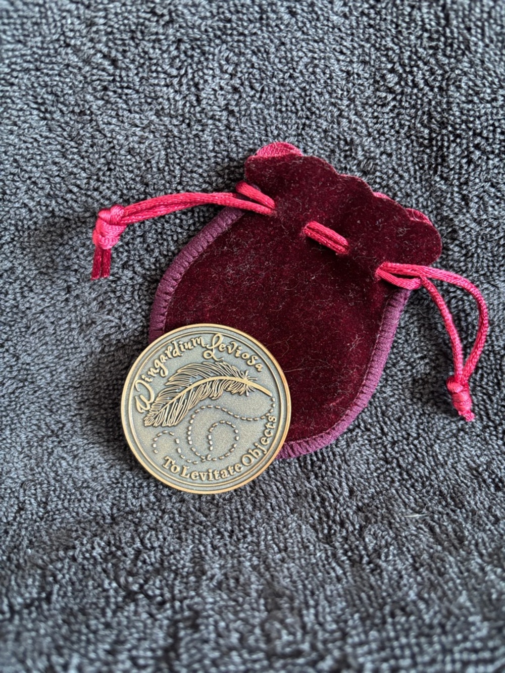 Harry Potter Wingardium Leviosa Coin